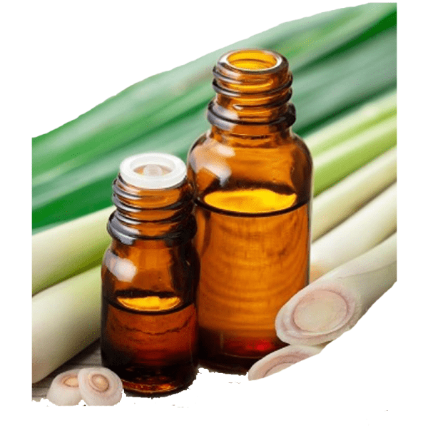 Modern  Langstrothe  Hives thumbnail