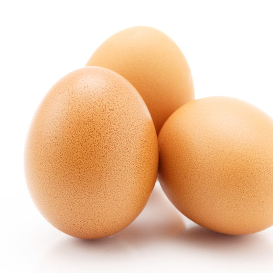 Eggs singles