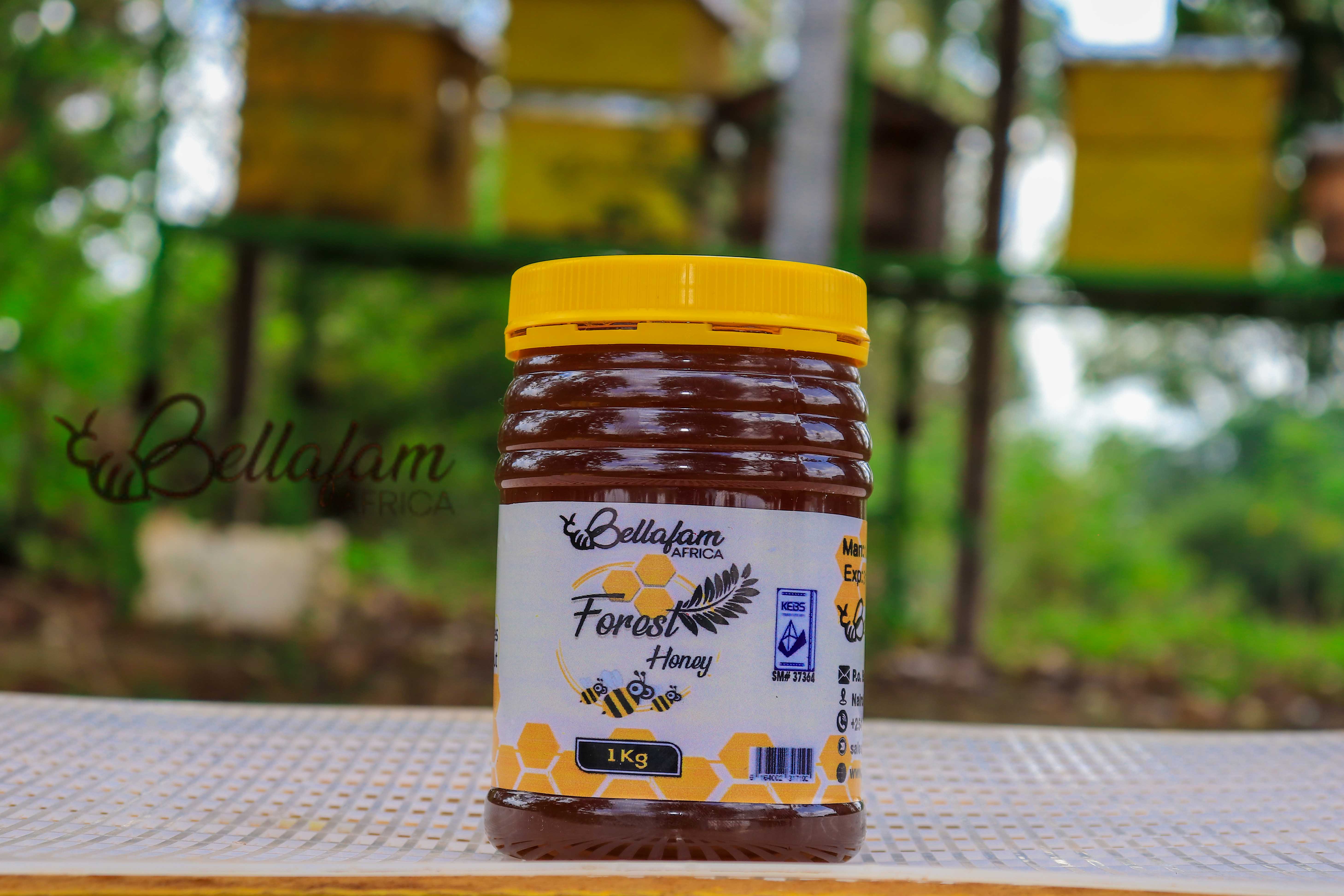 Forest Honey (1Kg)