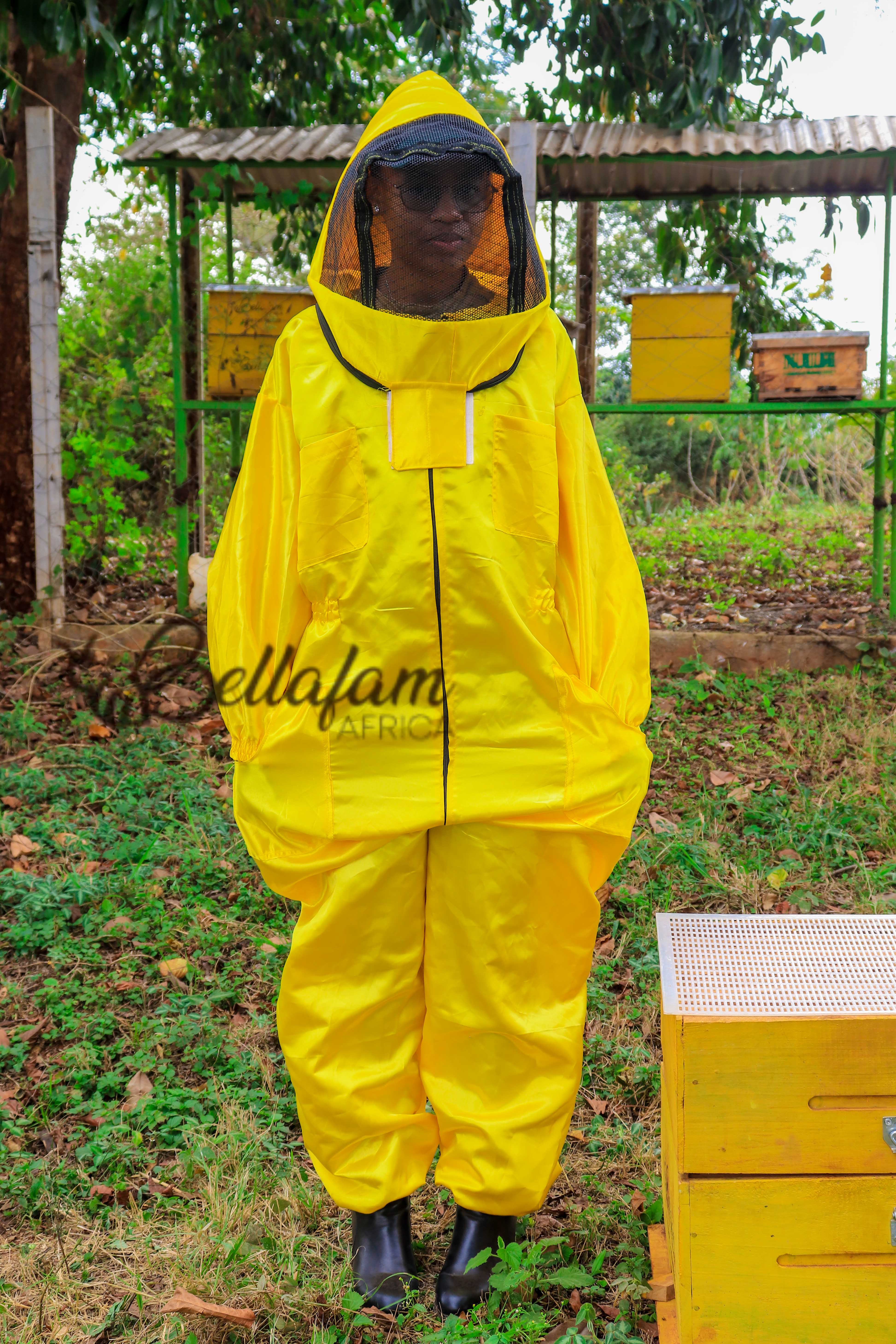 Extra Large Bee Suit